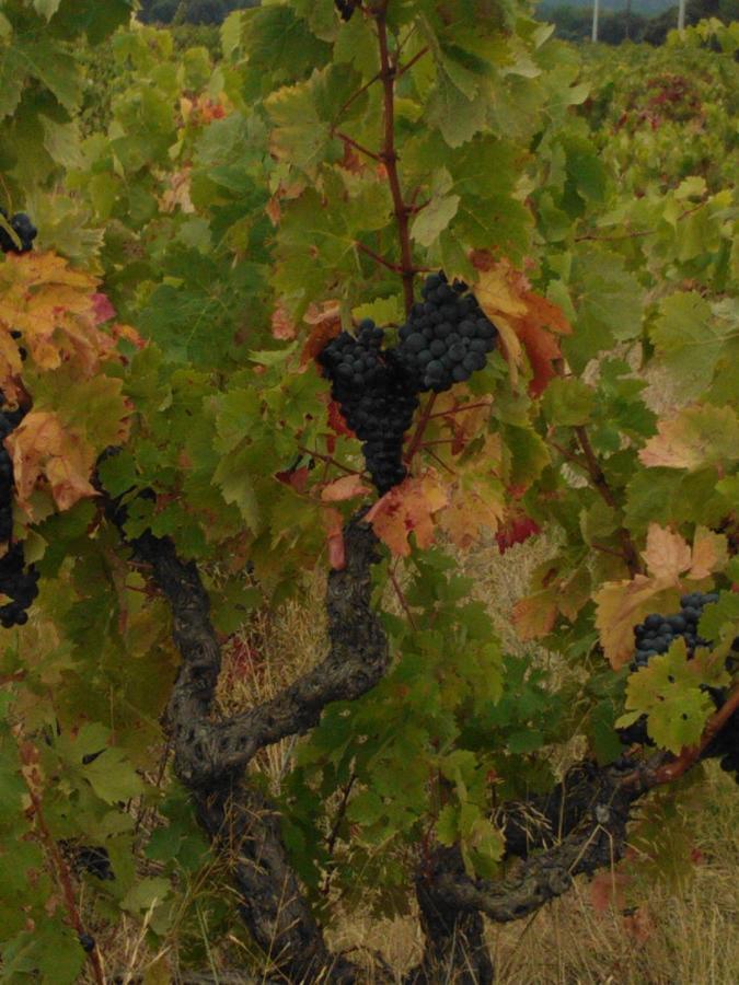 Domaine De Nidoleres